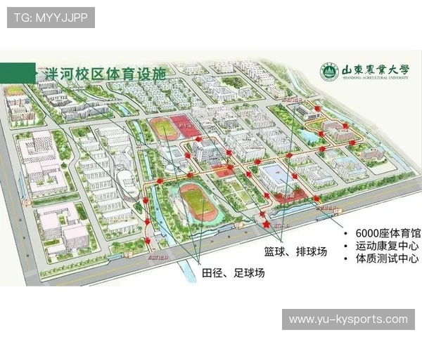 2026年足球俱乐部场馆改造:观赛体验升级策略,2021足球场地建设规划 2026年足球俱乐部场馆改造:观赛体验升级策略,2021足球场地建设规划